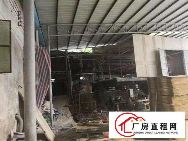  独门独院铁皮厂房出租、可包租