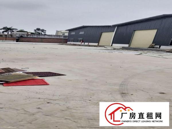  可分租全新钢构厂房发财致富的好地方