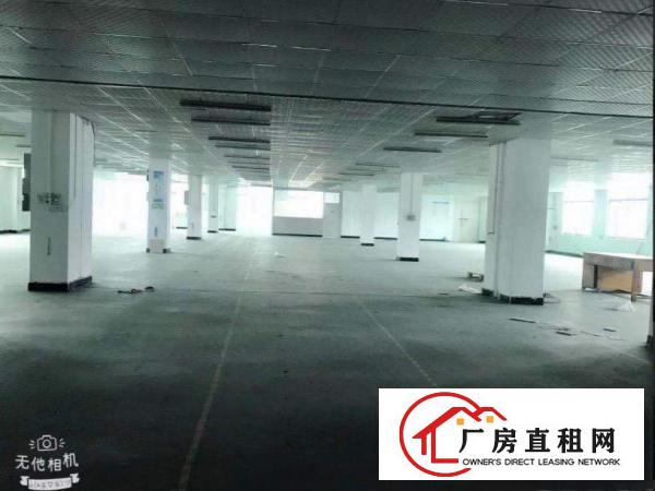  出租常平镇苏坑全新装修水电齐全二楼1700平工业厂房有环评