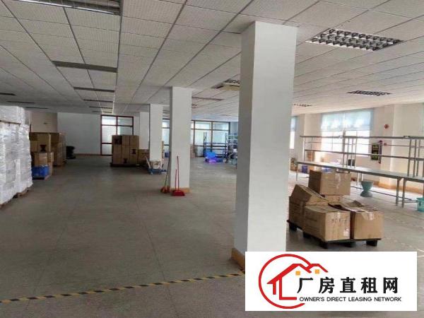  出租常平金美工业区实业客分租500平方电梯2吨精装修
