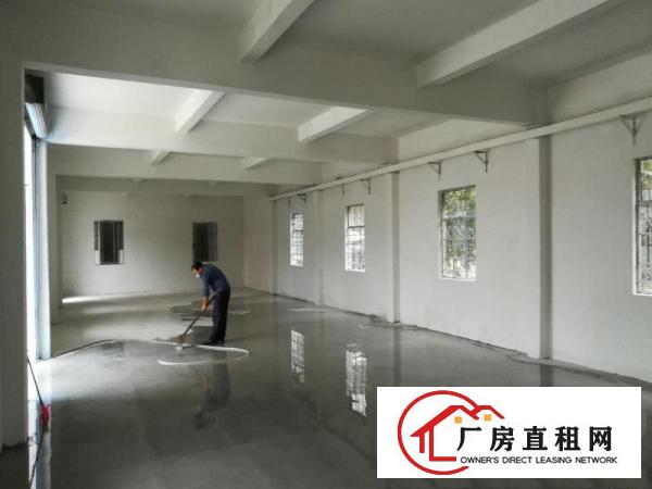  出租原房东独院标准小厂房一楼面积550平