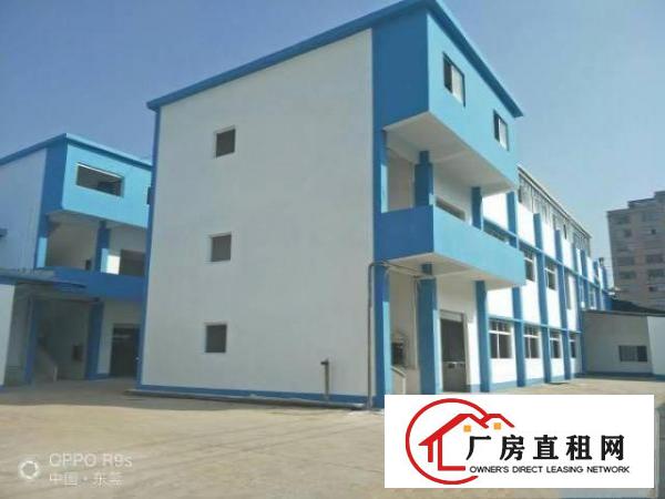  出租原房东独院标准小厂房一楼面积550平