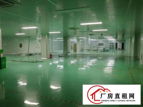  出租原房东独院标准小厂房一楼面积550平