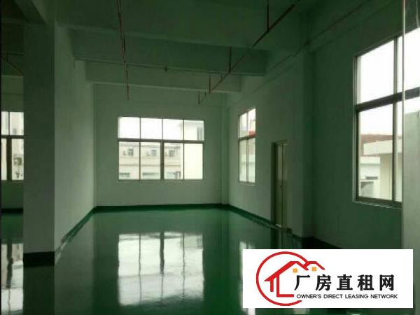  常平木伦（超大前台豪华装修）电商电子二楼650平