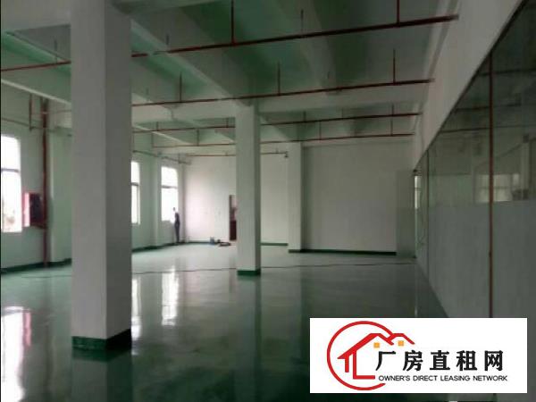  常平木伦（超大前台豪华装修）电商电子二楼650平