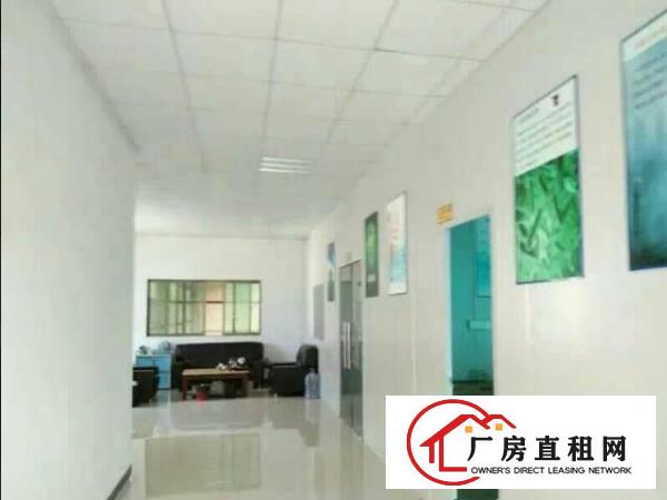  常平木伦（超大前台豪华装修）电商电子二楼650平