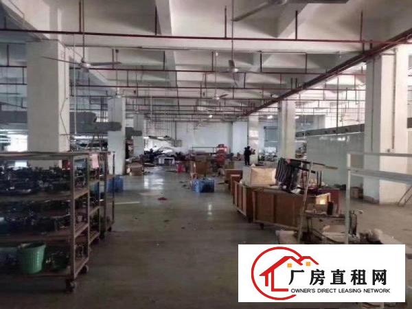  常平高速路口新出工业园分租一二楼各2850平方，带消防喷淋