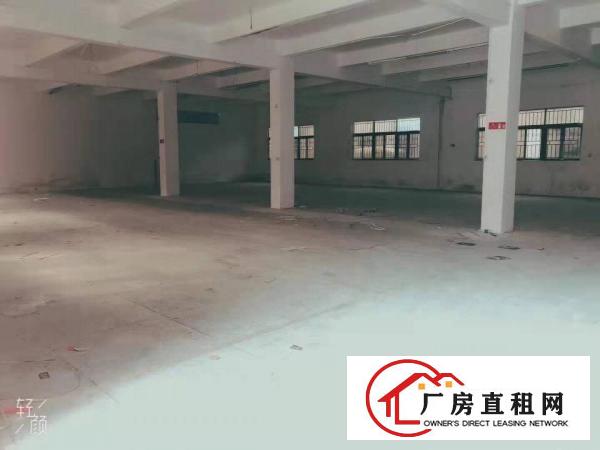  常平镇标准厂房独院出租约3700