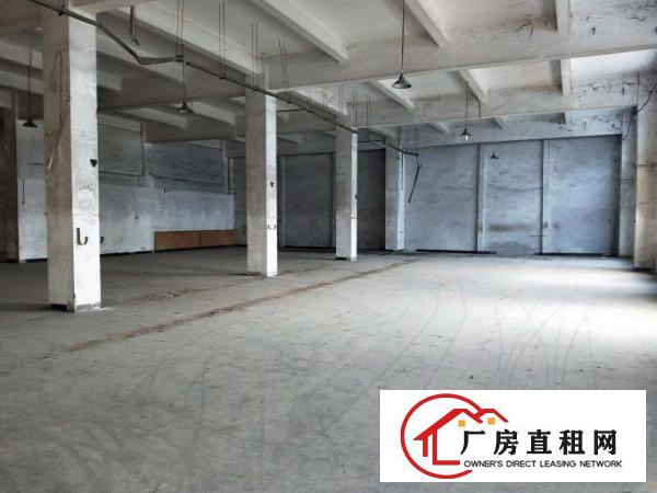  常平镇标准厂房独院出租约3700