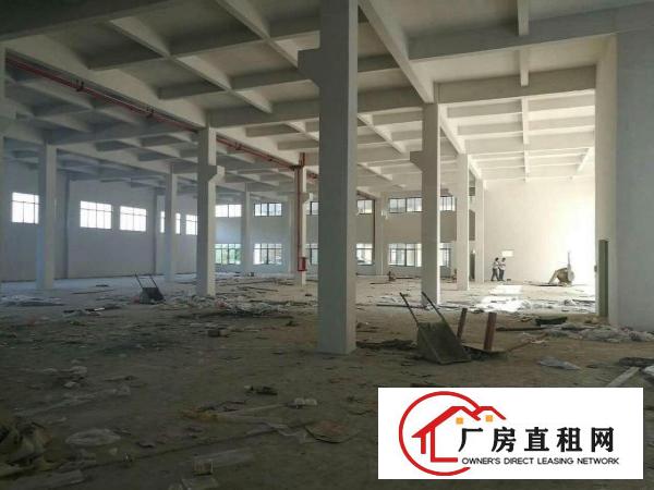  常平全新工业园有VOC排放指标厂房仓库分租一楼楼上500平起