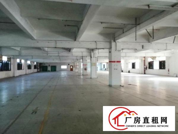 常平木棆工业区厂房出租，层高6米，交通便利，低至15元起