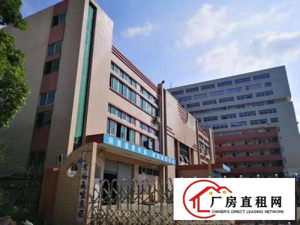  常平超靓标准厂房7600平出租