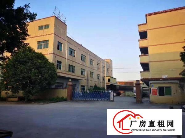  常平超靓标准厂房7600平出租