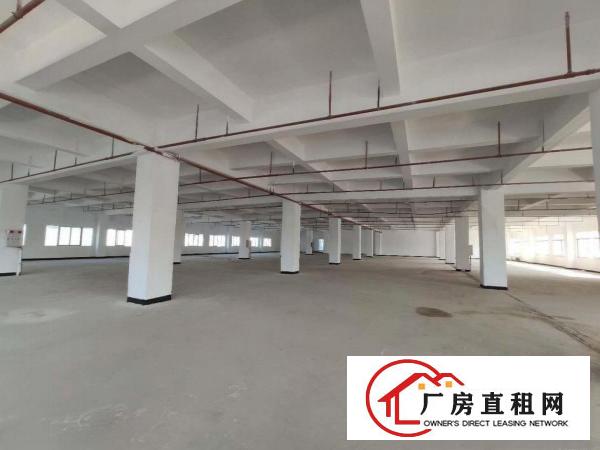  常平标准厂房，五一特价来袭1450平，手快有