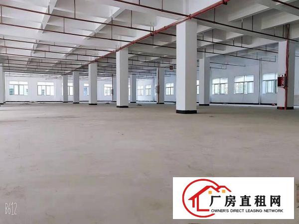  常平标准厂房，五一特价来袭1450平，手快有
