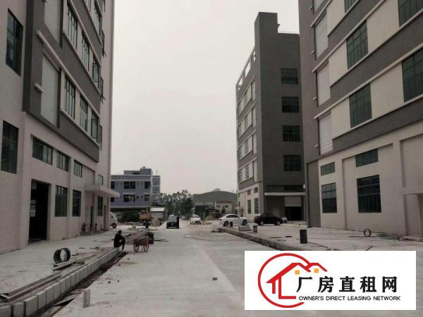  常平高速路口，全新独门独院园区42000平全新厂房，出租