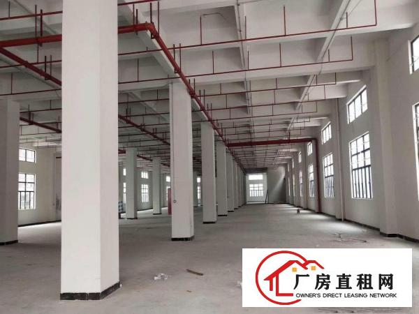  常平高速路口，全新独门独院园区42000平全新厂房，出租