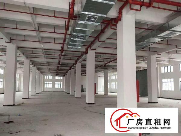  常平高速路口，全新独门独院园区42000平全新厂房，出租
