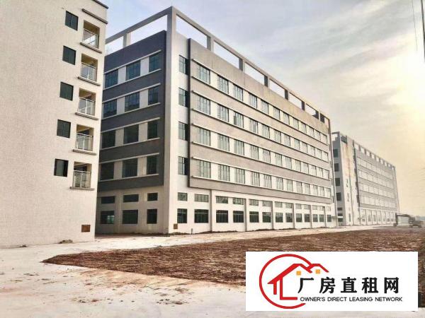  常平高速路口，全新独门独院园区42000平全新厂房，出租