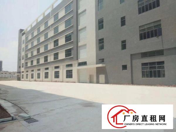  常平高速路口，全新独门独院园区42000平全新厂房，出租