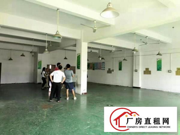  常平马屋工业区三楼460平厂房出租前台精装办公室
