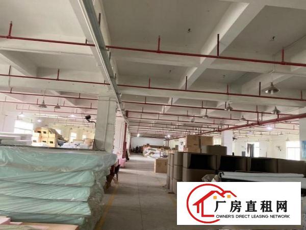  常平漱旧新出原房东标准独院10000平方，带消防喷淋