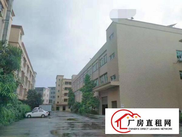  东莞独门独院花园式厂房出租全新地坪漆精装修办公室可分租