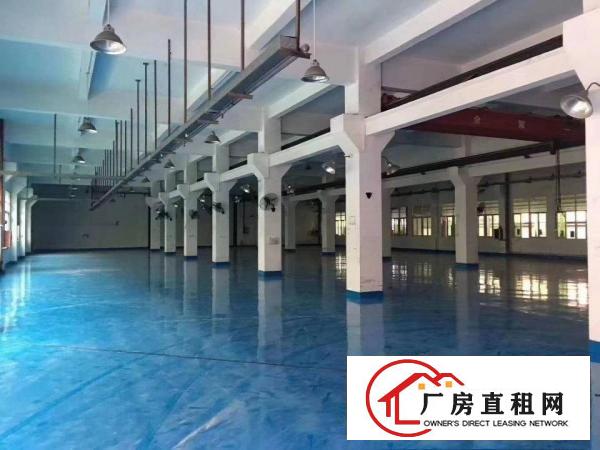  东莞独门独院花园式厂房出租全新地坪漆精装修办公室可分租
