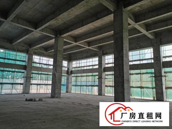  常平九江水全新高端工业园2公里上高速半达深圳