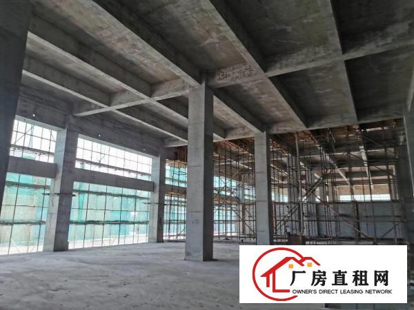  常平九江水全新高端工业园2公里上高速半达深圳