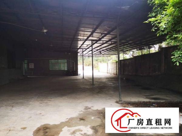  常平新出单一层独门独院厂房17元方交通便利，独门独院