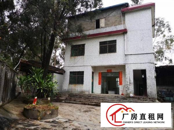  常平新出单一层独门独院厂房17元方交通便利，独门独院