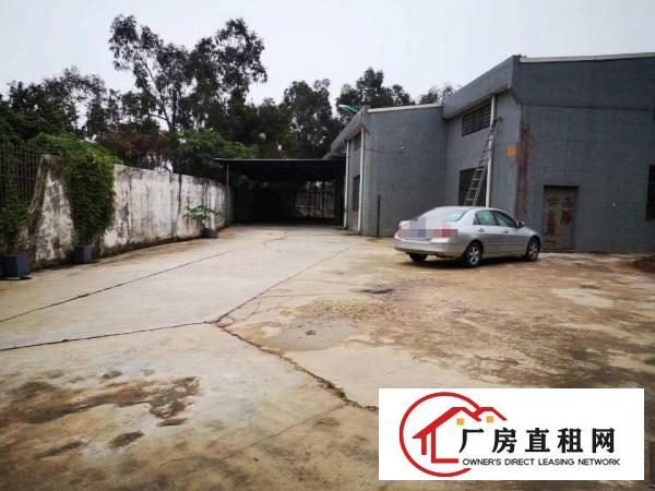  常平新出单一层独门独院厂房17元方交通便利，独门独院