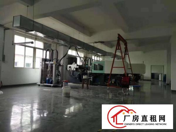  常平镇楼上厂房出租，红本厂房原房东原房东原房东