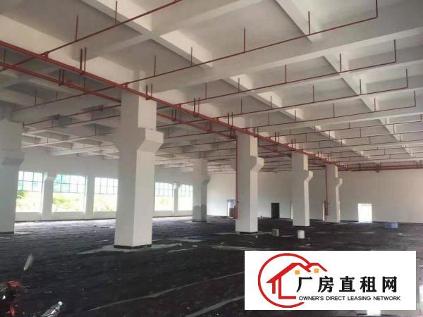  常平镇标准物流园12600平方出租