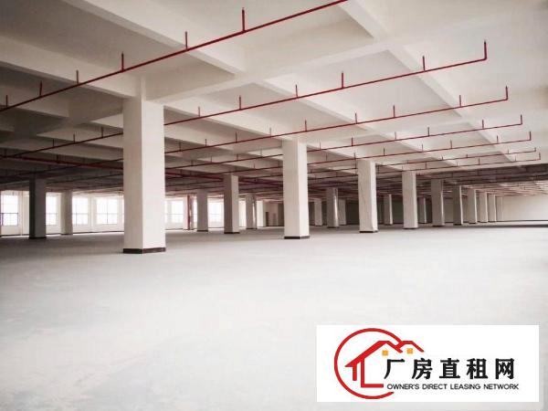  常平镇标准物流园12600平方出租
