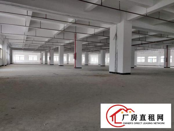  常平木棆工业园厂房出租1000平，独院可环评，空地大停车位多