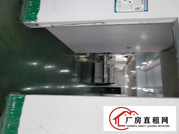  常平独门独院三层厂房3300平急租