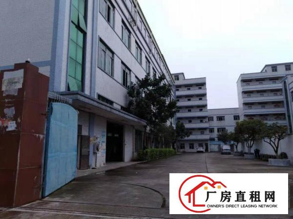  常平独门独院三层厂房3300平急租