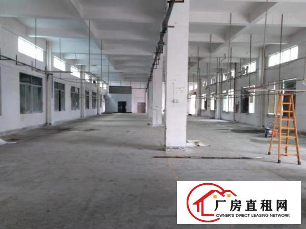  常平独门独院三层厂房3300平急租