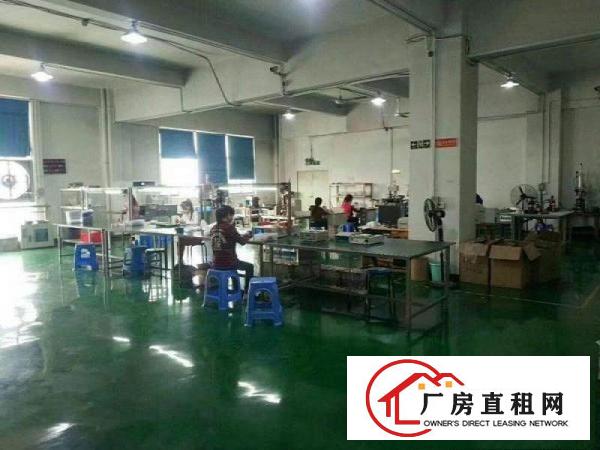  （精装修）常平漱新工业区新出二楼600平方招租，可办环评