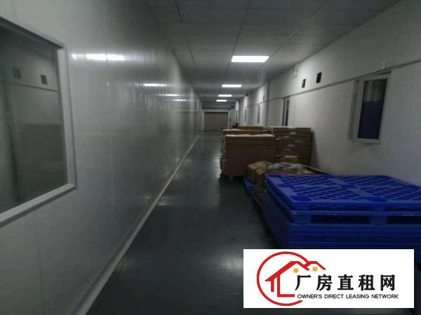  常平黄江交界处新出楼上带装修1450平（万级无尘车间）厂房