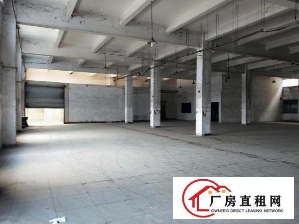  常平镇标准独院厂房原房东约4200平方出租