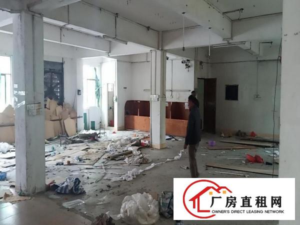  原房东新空出厂房(0x0)
