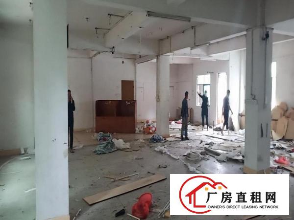  原房东新空出厂房(0x0)
