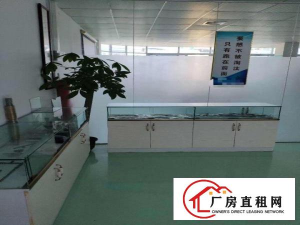  常平司马精装修办公室楼上厂房分租二楼500平现成装修拎包入住