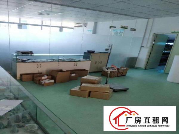  常平司马精装修办公室楼上厂房分租二楼500平现成装修拎包入住