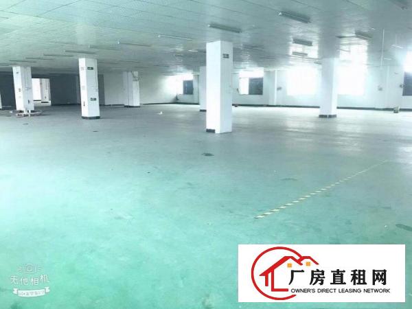  常平苏坑全新装修水电齐全二楼1700平工业厂房有环评