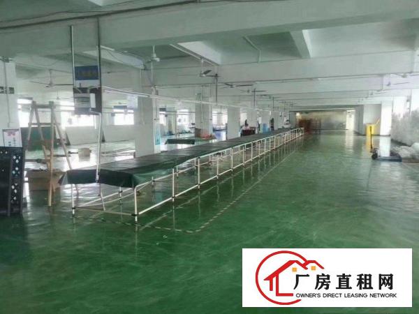  常平高速路口新出工业园分租一整层3000平方