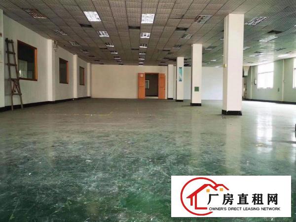  常平新出10元全新装修水电齐全二楼800平超大前台
